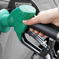 Сотрюдничество с компанией Elaflex